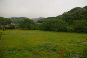 IMGP3158