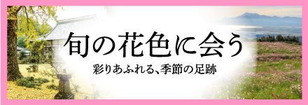 旬の花色に会う