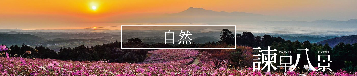 諫早観光物産コンベンション協会