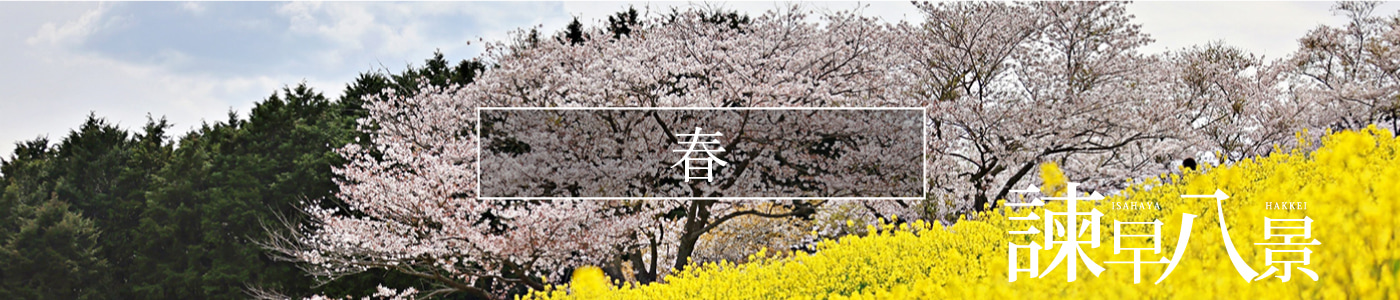 諫早の春スポット