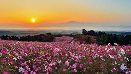 白木峰高原