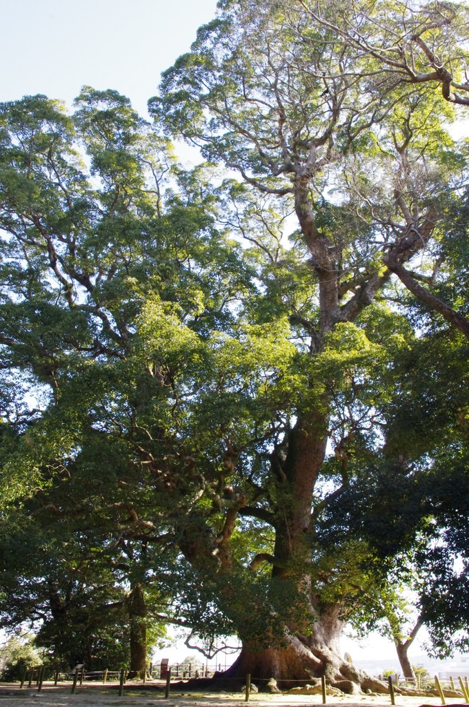 諫早公園
