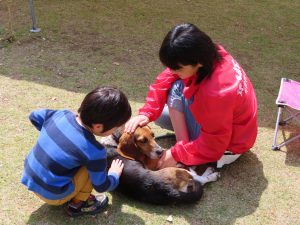 ふれあいミニ動物園 (8)