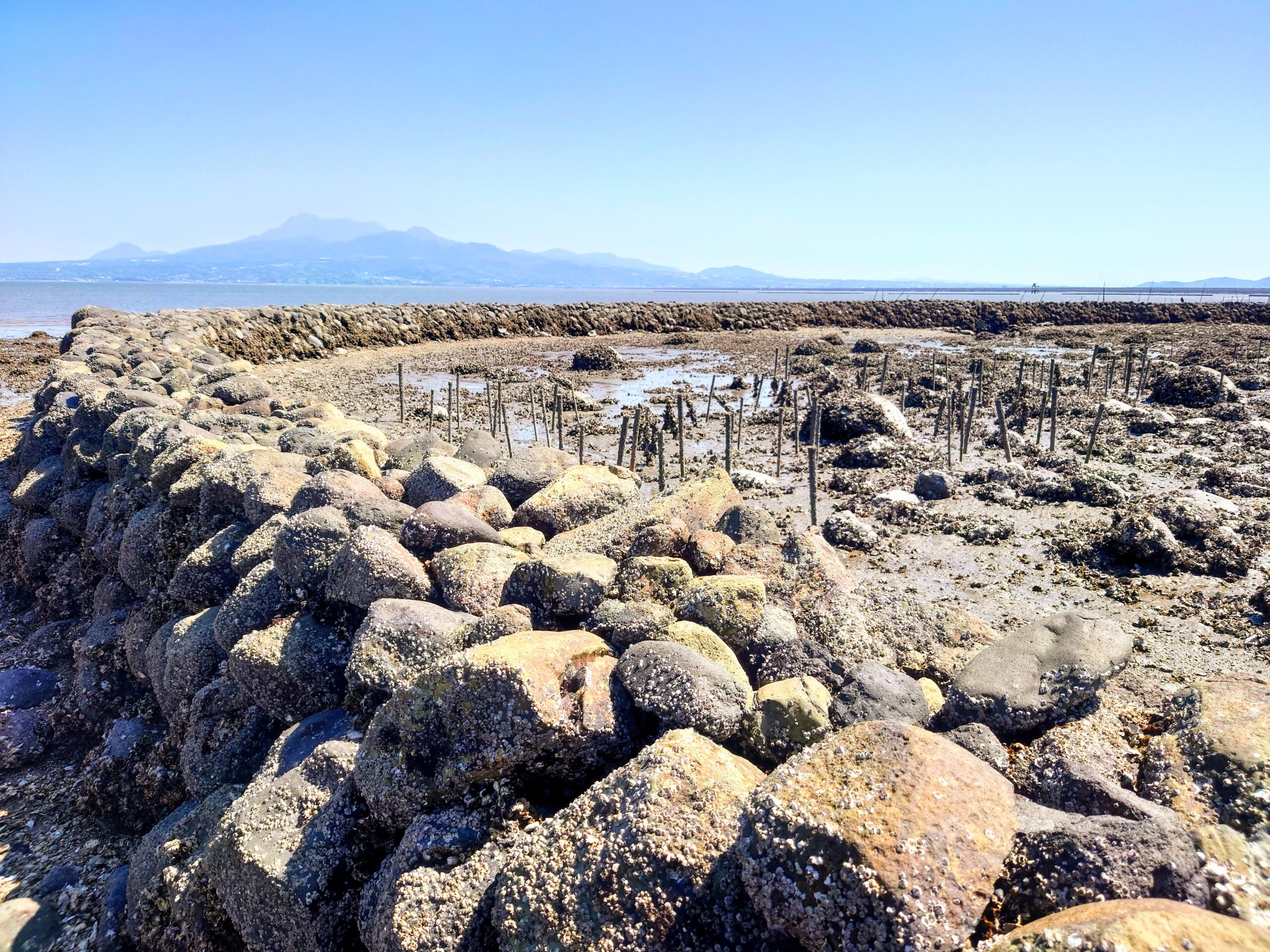 水ノ浦スクイ漁場