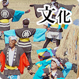 文化